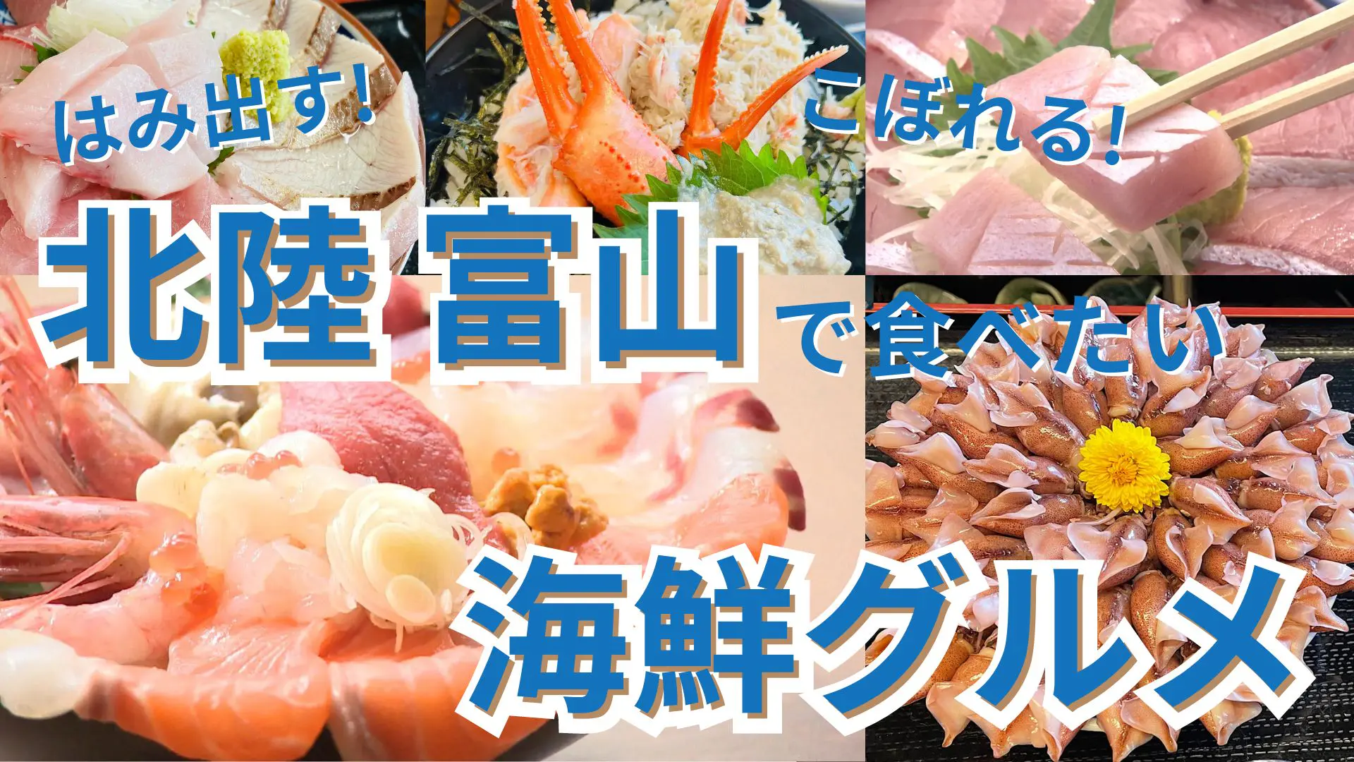 北陸旅で食べたい【富山の“はみ出す”海鮮グルメ】漁師オーナー山盛り丼や漁協・鮮魚店直営の漁港メシなど 地元民も驚くゴージャス＆やりすぎ海鮮まとめ